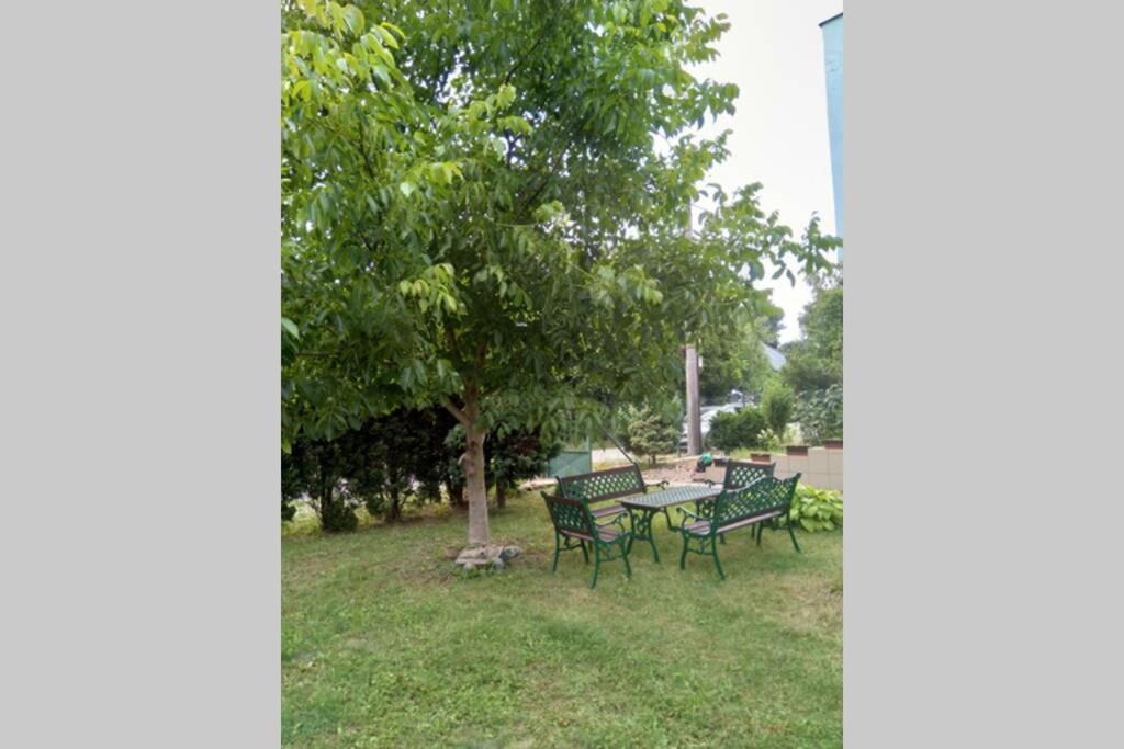 Hannah - Relax Dom Pod Orechom Apartman2 Travnica Bagian luar foto